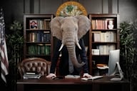 A photo illustration of an elephant standing behind a desk.
