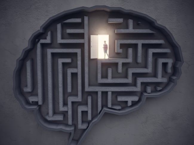 Big Idea Concept, The woman open the door in the maze-shaped brain