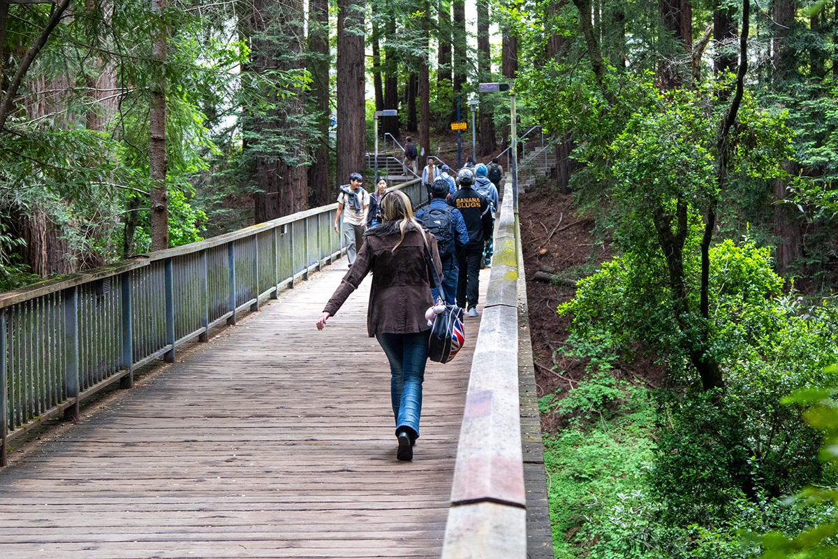 Will UC Santa Cruz's admissions gamble pay off?