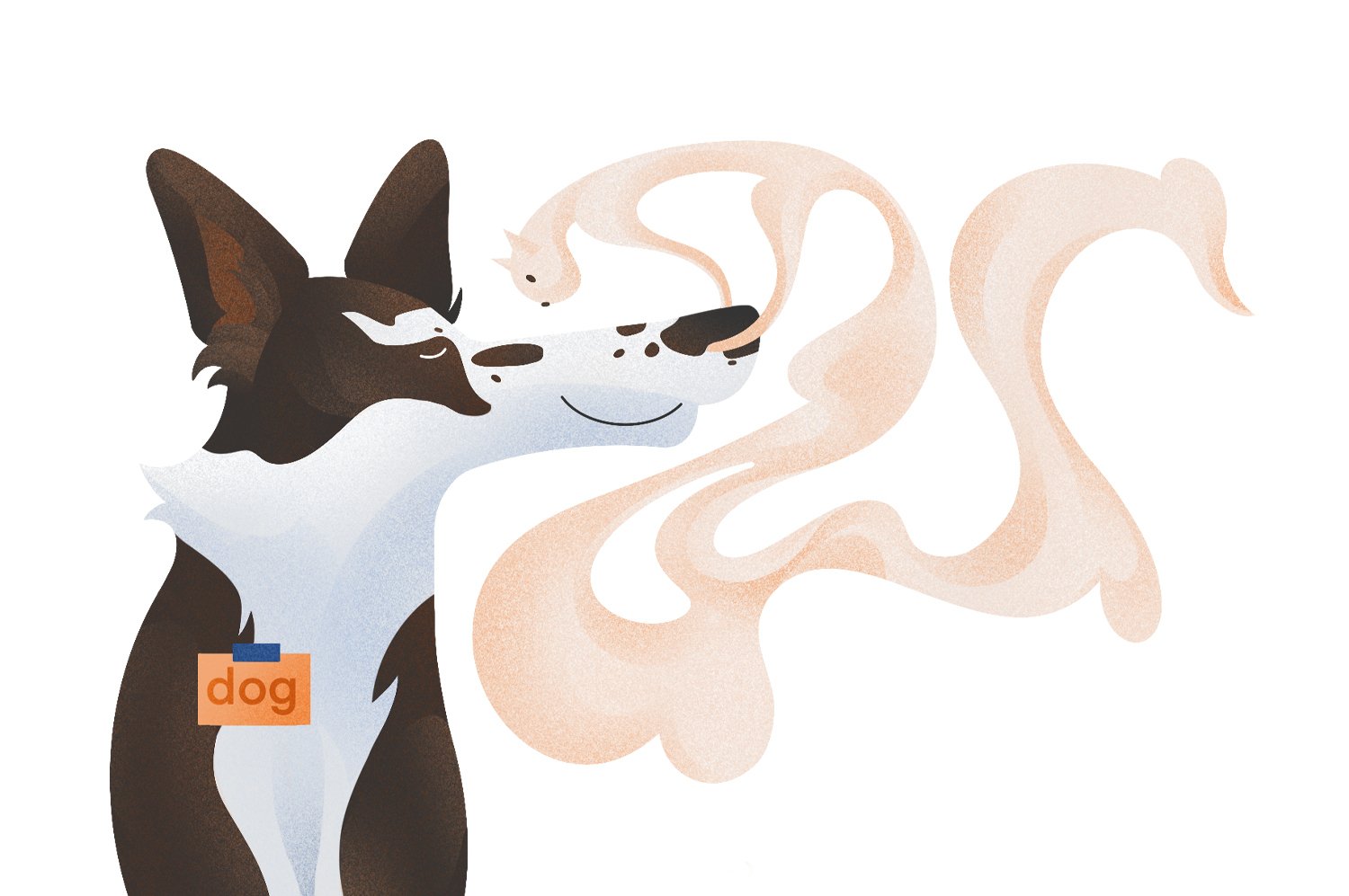 Image of dog and cat