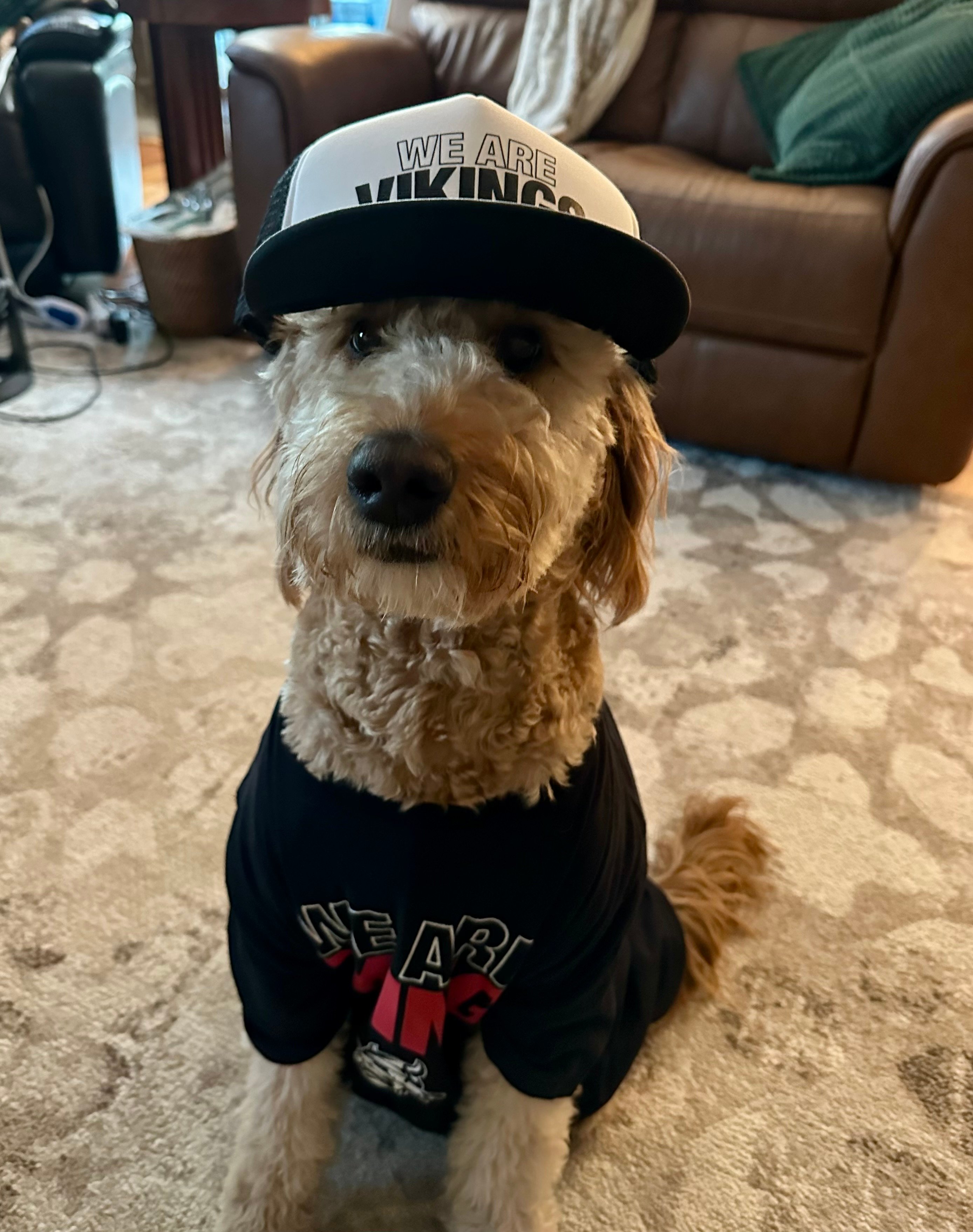 Photo of dog wearing a jersey and baseball cap with "We Are Vikings" printed on the front