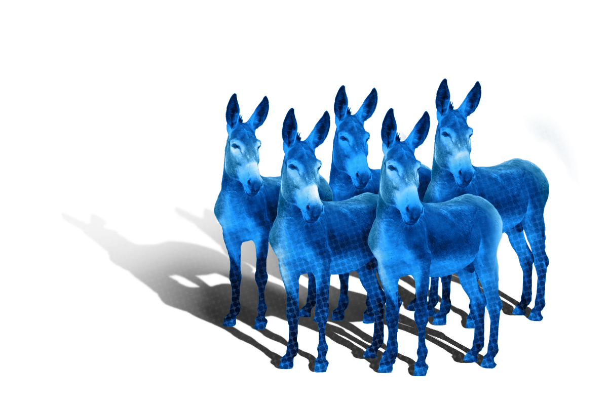 A group of blue hued donkeys casting a shadow.