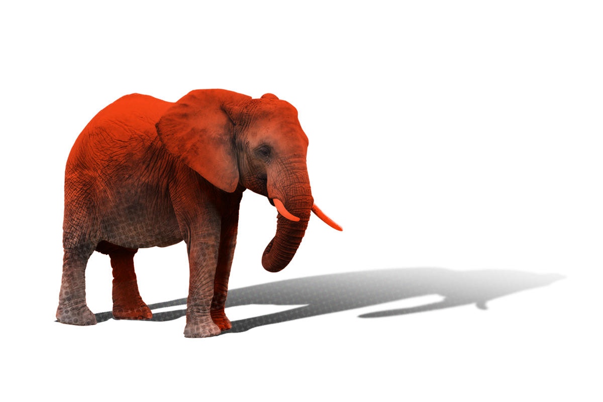 A single red hued elephant casting a shadow.