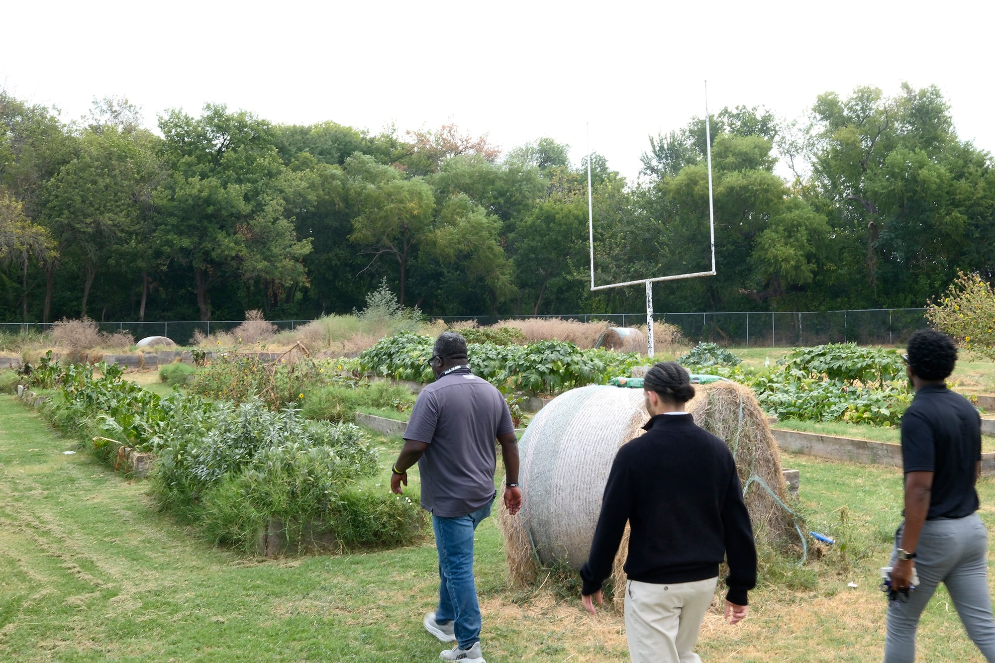 A photo of three men walking across a plot of land with crops and a football goalpost in the background.