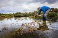 A scientist measures levels in a body of water.