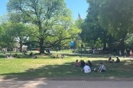  Students sitting outside on the grass at a university