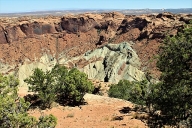 The rim of Upheaval Dome, a crater, in Canyonlands National Park. Scrubby trees can be seen against the red rock background. 
