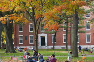 Harvard building with trees full of autumn leaves