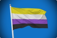 The nonbinary flag, which features, from top down, yellow, white, purple and black stripes of equal width, flows against a blue sky.