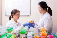 Two researchers wearing white lab coats, blue rubber gloves and safety goggles handle test tubes in a lab.