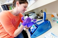 Scientist working in a lab