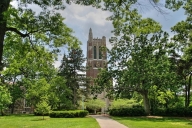 Michigan State University campus