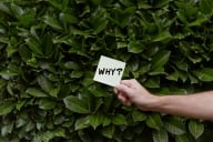 Close-up of a hand holding a yellow sticky note that says "why?" in front of a green bush background.
