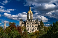 A gold-domed building surrounded by mature trees in full foliage.