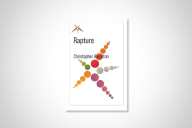 The book cover for Christopher Hamilton's "Rapture."