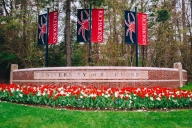 A sign outside the University of Richmond campus has many red and white tulips in front of it, with three banners featuring the campus mascot, a spider, behind it.