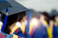 A rear view of graduates during commencement wearing blue and yellow regalia and graduation caps.