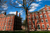 Redbrick buildings on the Harvard campus