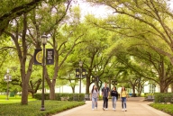 Students walk under a canopy of trees along a brick pathway on a campus