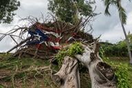 A photo of a Puerto Rican flag painted on an uprooted tree's roots in the aftermath of Hurricane Maria, in San Juan, Puerto Rico.