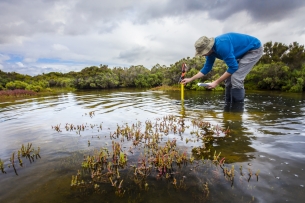 A scientist measures levels in a body of water.