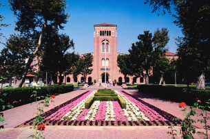A University of Southern California campus photo, depicting a long walkway toward the entrance of a USC building. A garden with pink and white flowers and well-manicured shrubbery bisects the brick walkway. 