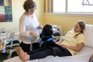 Rossi the service dog works alongside a University of Wisconsin at La Crosse faculty member as they treat a client.