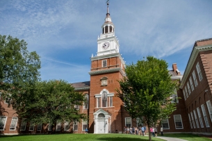 Steepled building on a tree-lined idyllic green