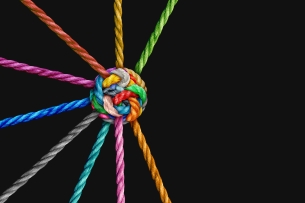 Nine different strands of rope, each of a different bright color, come together to form a single colorful knot.