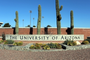 A sign on a brick wall reading "The University of Arizona" with large cacti.