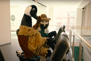 A goose and a gold miner, both mascot costumes, high-five while working on elliptical machines.