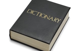 A picture of a dictionary against a white background.