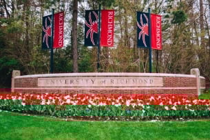 A sign outside the University of Richmond campus has many red and white tulips in front of it, with three banners featuring the campus mascot, a spider, behind it.