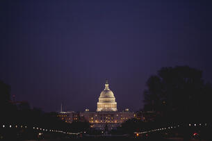 An image of the U.S. Capitol building at night.
