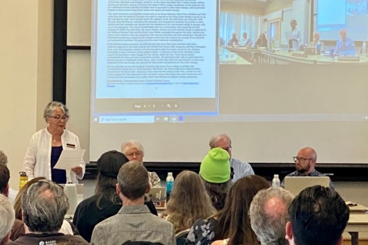 Christina Cuevas, chair of the Name Exploration Subcommittee, stands and speaks while her fellow board members sit next to her in front of a crowd of people.