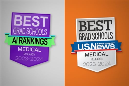 Traditional logo for U.S. News's medical school rankings is positioned next to a similar-looking logo that says "AI Rankings"