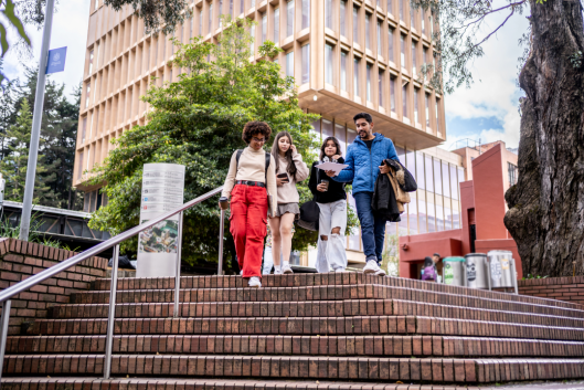 Young university students talking while walking down the stairs at university