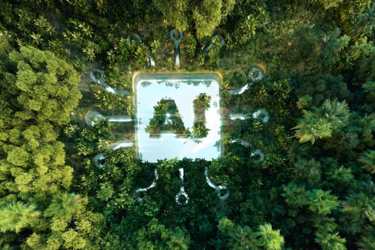 An icon that says "AI" can be seen from above in the middle of an expanse of otherwise intact rainforest.