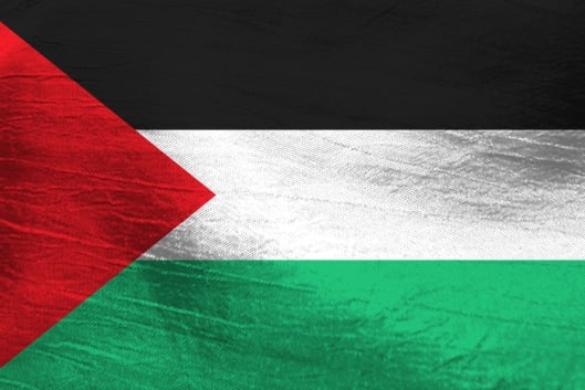 An image of the Palestinian flag.