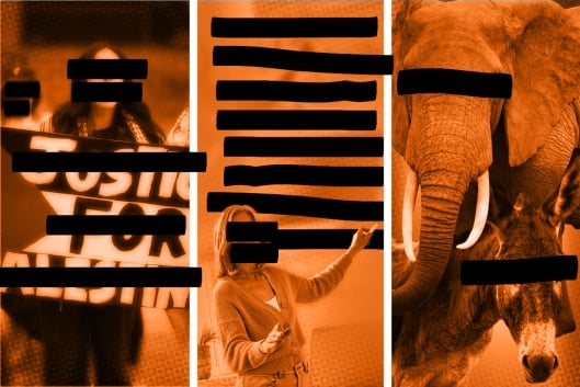 A photo illustration consisting of images of a pro-Palestine protester, an instructor and an elephant and donkey with black bars over their faces and over written words.