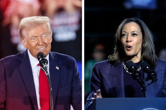 An illustration showing Donald Trump and Kamala Harris in a split screen