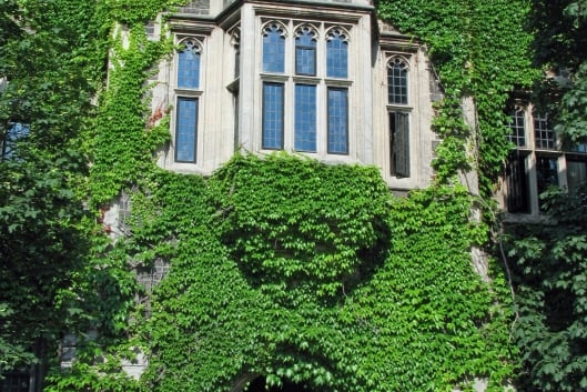 A Gothic-style college building covered in ivy.