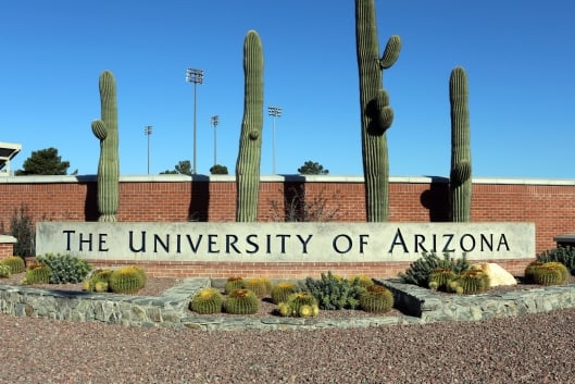 A sign on a brick wall reading "The University of Arizona" with large cacti.