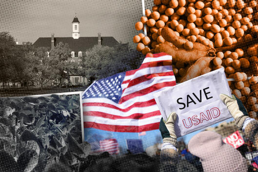 A collage of images, including an image of a building on UIUC's campus, a photo of a field, a photo of pile of soybeans, and a photo of the protests against USAID being defunded, in which an American flag is visible and someone is holding a sign reading "Save USAID."