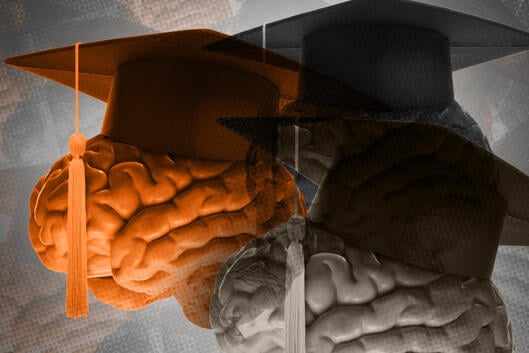 Photo illustration of different-colored brains with graduation caps on.