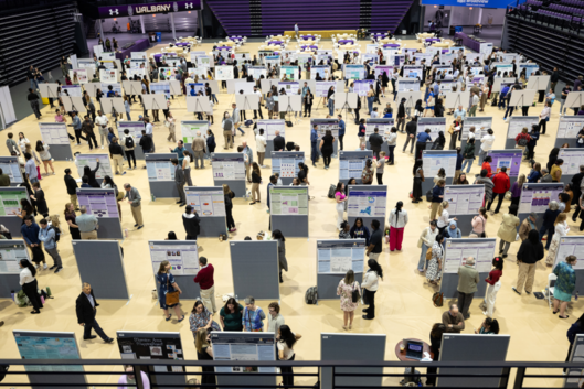 College students present their research posters during the University at Albany, SUNY, Showcase Day in May 2025.