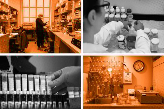 A set of four images showing college laboratory environments.