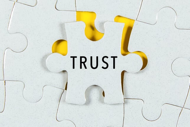 Puzzle piece fitting into larger puzzle board, with word "trust" on it