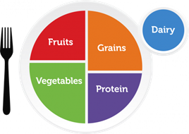  The U.S. Department of Agriculture’s “MyPlate” graphic depicts a balanced diet: a plate is divided into four relatively even, brightly colored squares, each labeled with a respective food group: “vegetables,” “fruits,” “protein,” “grains.” A cup to the side of the plate bears the label “dairy.”