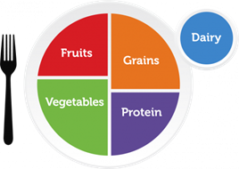 The U.S. Department of Agriculture’s “MyPlate” graphic depicts a balanced diet: a plate is divided into four relatively even, brightly colored squares, each labeled with a respective food group: “vegetables,” “fruits,” “protein,” “grains.” A cup to the side of the plate bears the label “dairy.”
